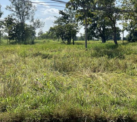 รูปที่ดินว่างเปล่า ตาลสุม ตาลสุม อุบลราชธานี
