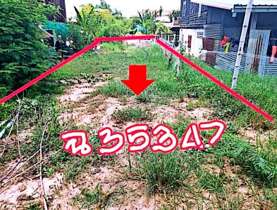 รูปที่ดินว่างเปล่า ม่วงลาด จังหาร ร้อยเอ็ด