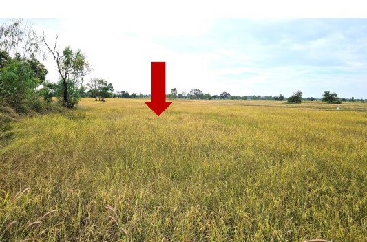 รูปที่ดินว่างเปล่า โคกสะอาด ฆ้องชัย กาฬสินธุ์