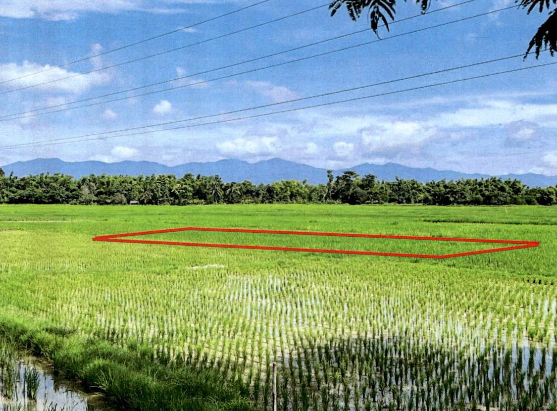 รูปที่ดินว่างเปล่า บ้านเป้า เมืองลำปาง ลำปาง