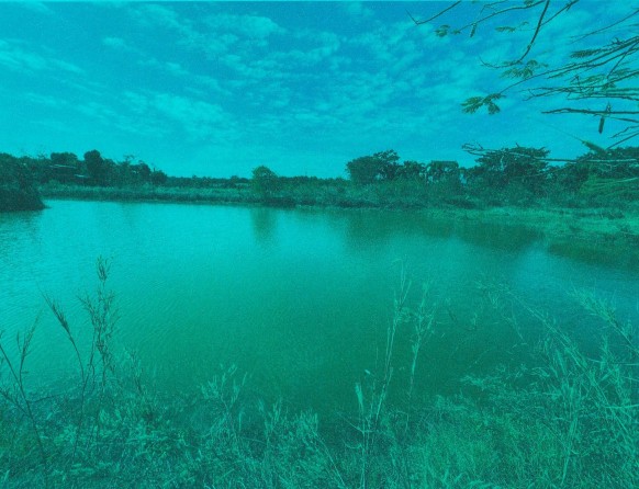รูปที่ดินว่างเปล่า โนนชัยศรี โพนทอง ร้อยเอ็ด