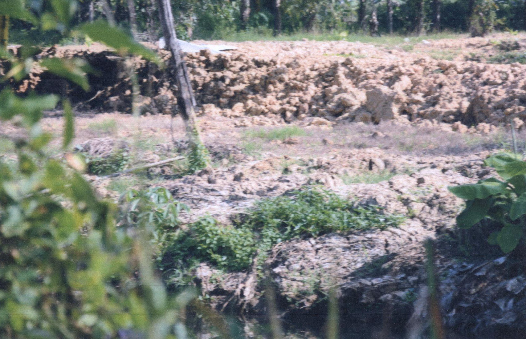 รูปที่ดินว่างเปล่า ทุ่งกวาว เมืองแพร่ แพร่