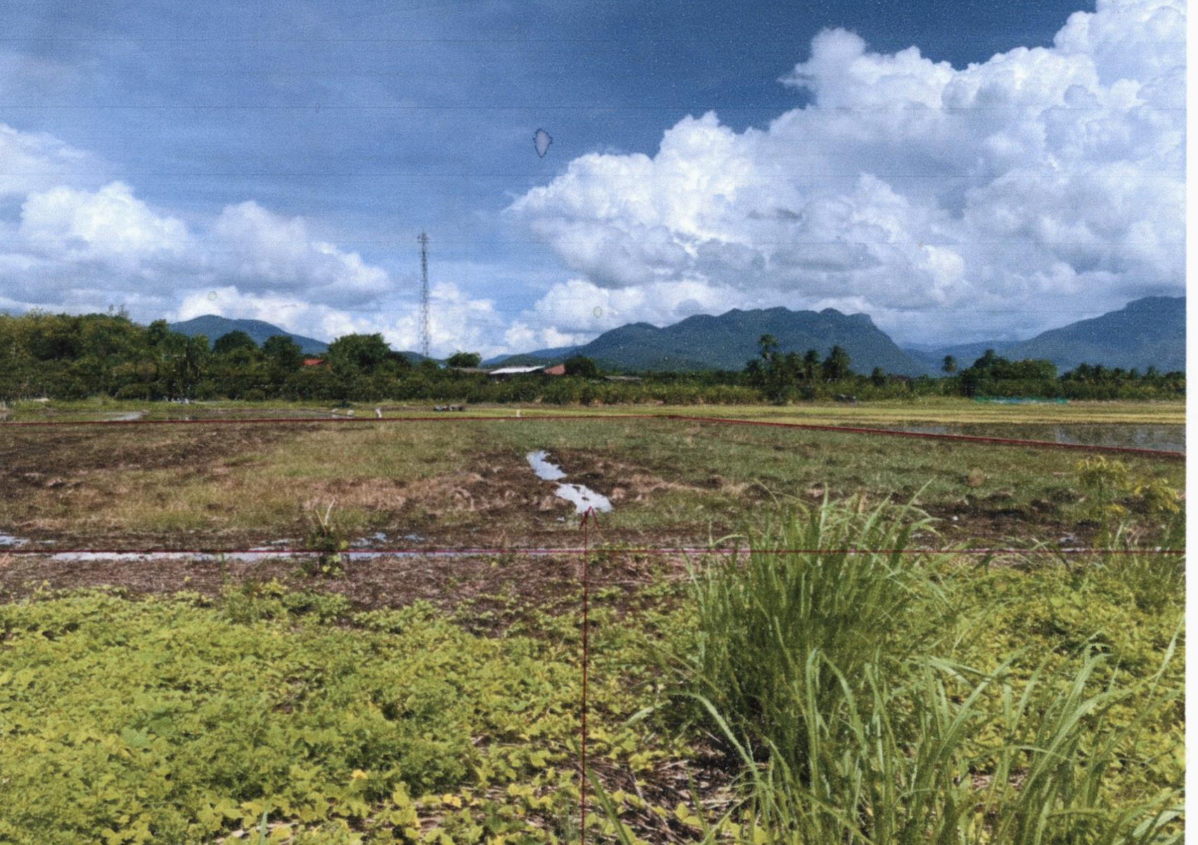 รูปที่ดินว่างเปล่า บ้านแปะ จอมทอง เชียงใหม่