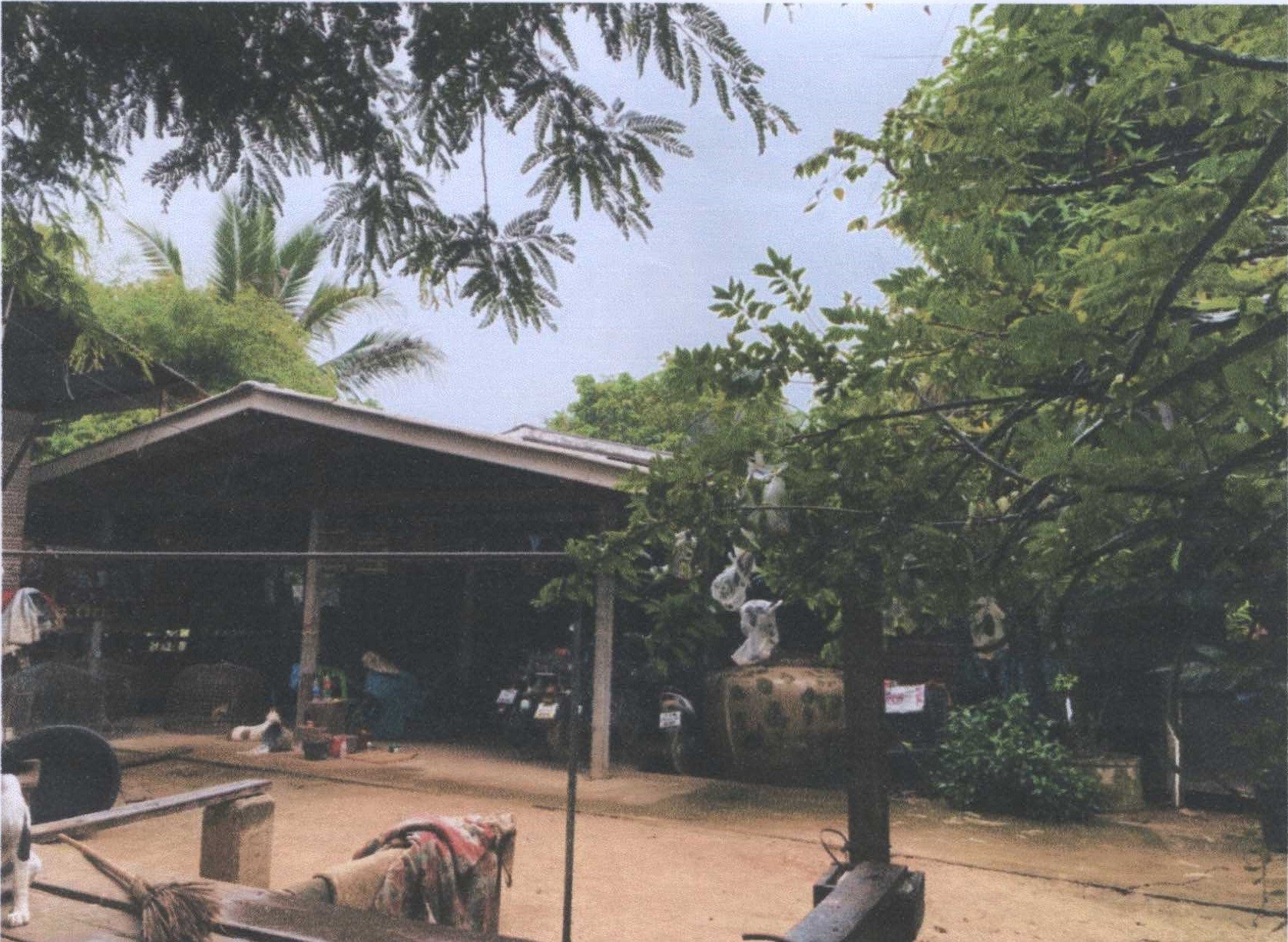 รูปที่ดินพร้อมสิ่งปลูกสร้าง บ้านบุ่ง เมืองพิจิตร พิจิตร