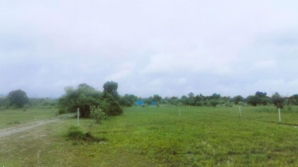 รูปที่ดินว่างเปล่า ห้วยโป่ง โคกสำโรง ลพบุรี