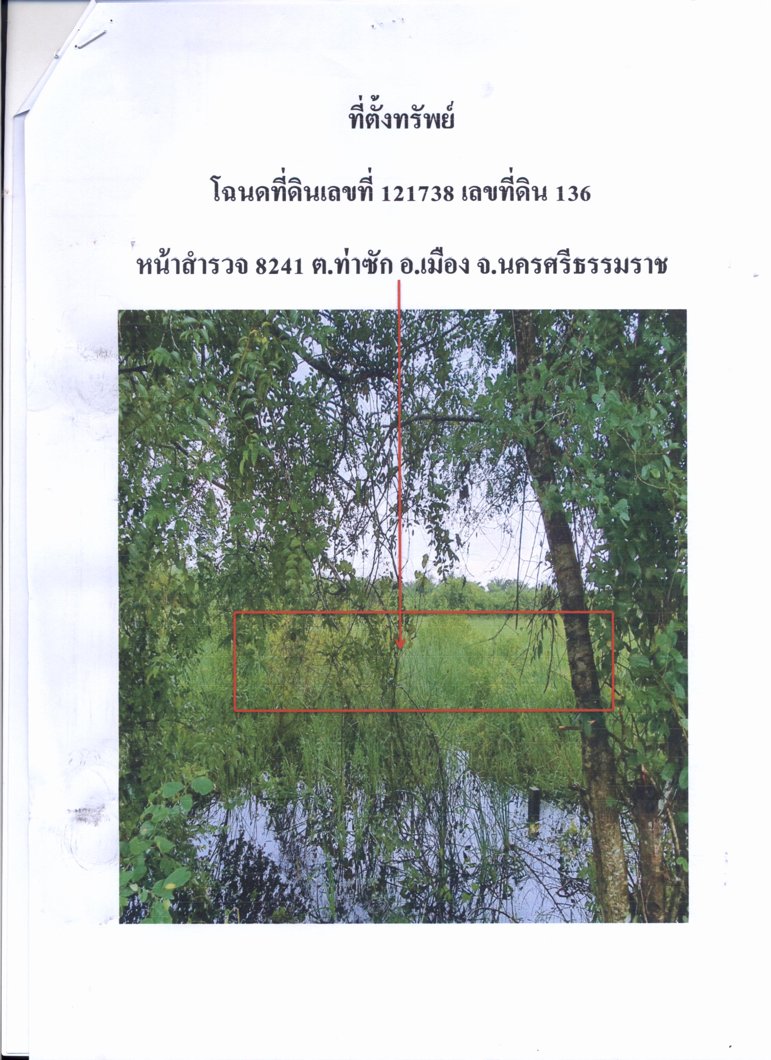 รูปที่ดินว่างเปล่า ท่าซัก เมืองนครศรีธรรมราช นครศรีธรรมราช