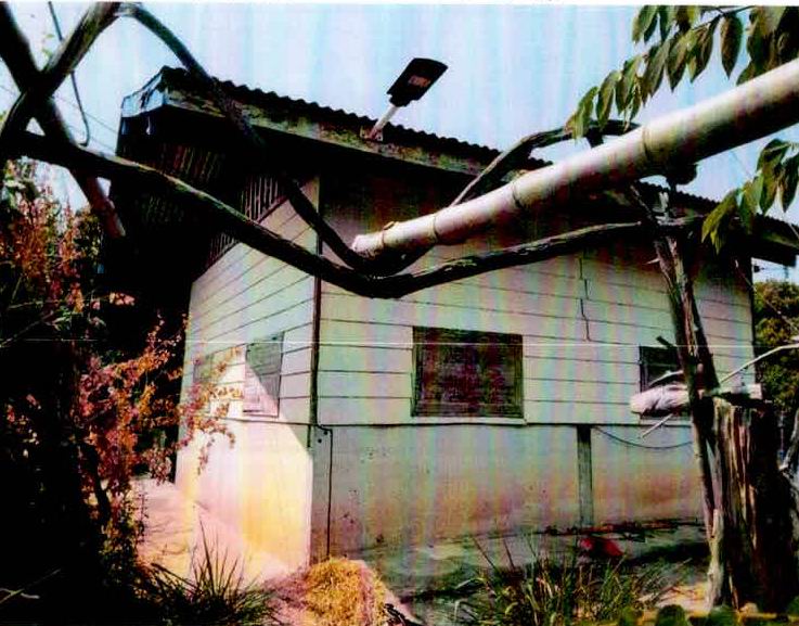 รูปที่ดินพร้อมสิ่งปลูกสร้าง โคกสะอาด ปราสาท สุรินทร์