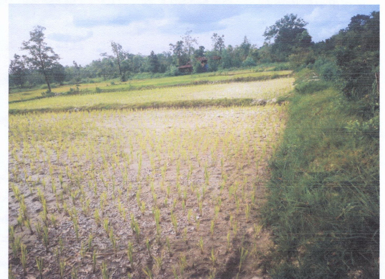 รูปที่ดินว่างเปล่า บะฮี พรรณานิคม สกลนคร