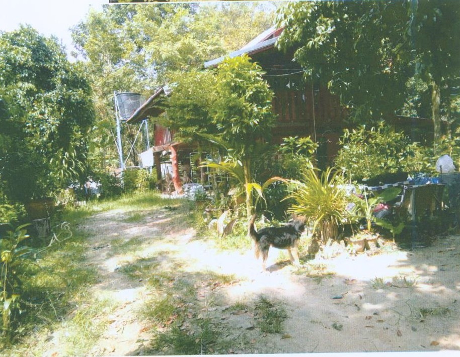 รูปที่ดินพร้อมสิ่งปลูกสร้าง บก โนนคูณ ศรีสะเกษ