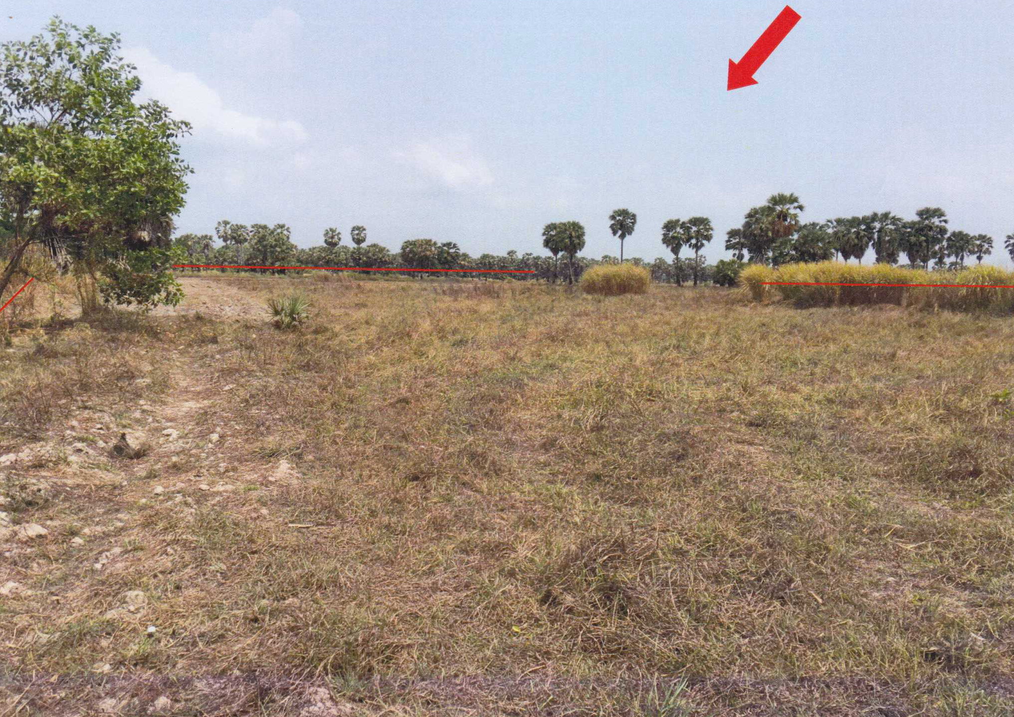 รูปที่ดินว่างเปล่า หนองแก้ว ประจันตคาม ปราจีนบุรี