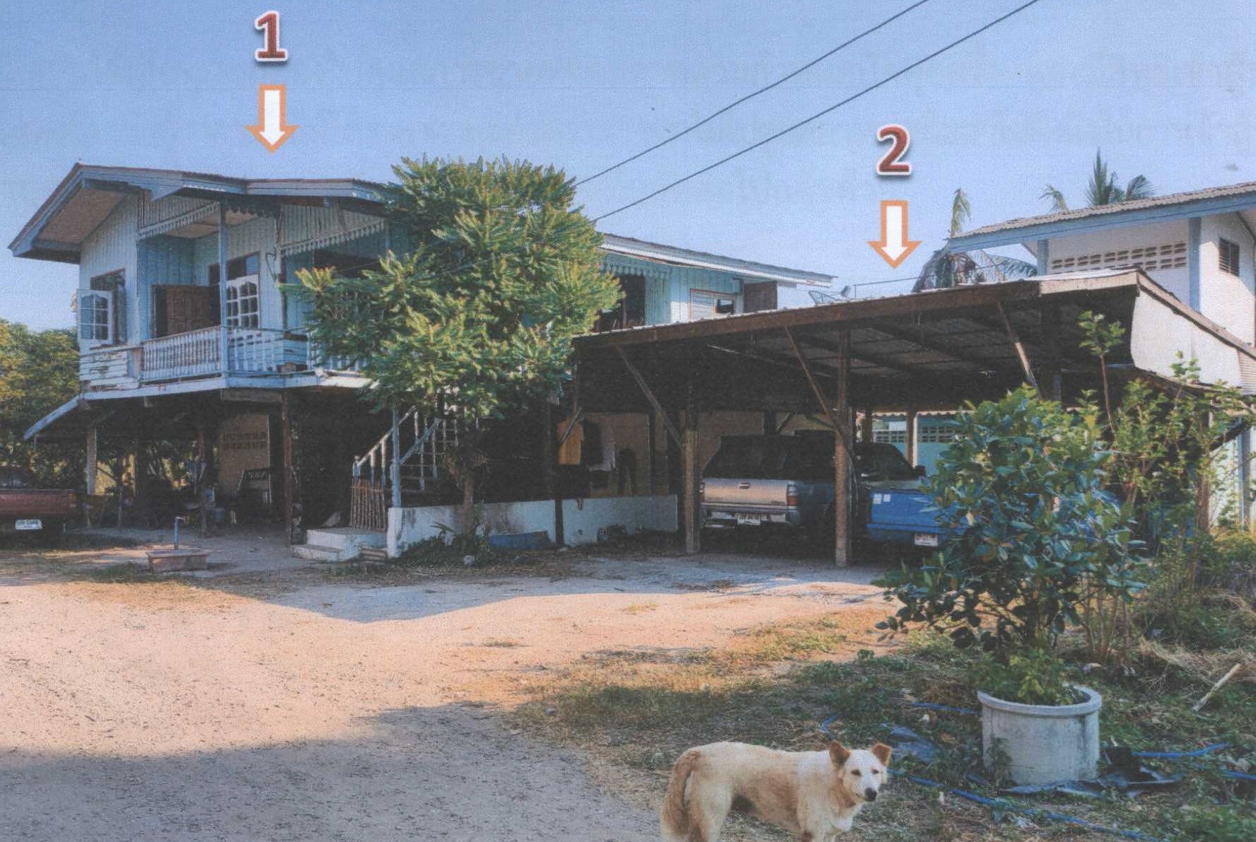 รูปที่ดินพร้อมสิ่งปลูกสร้าง โพสะ เมืองอ่างทอง อ่างทอง