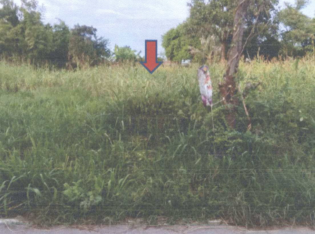 รูปที่ดินว่างเปล่า โตนด โนนสูง นครราชสีมา