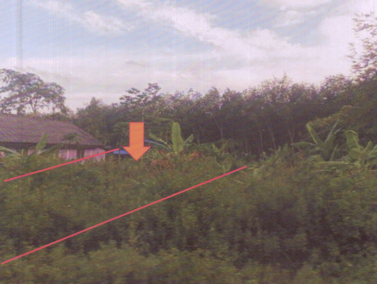 รูปที่ดินว่างเปล่า ท่าช้าง บางกล่ำ สงขลา