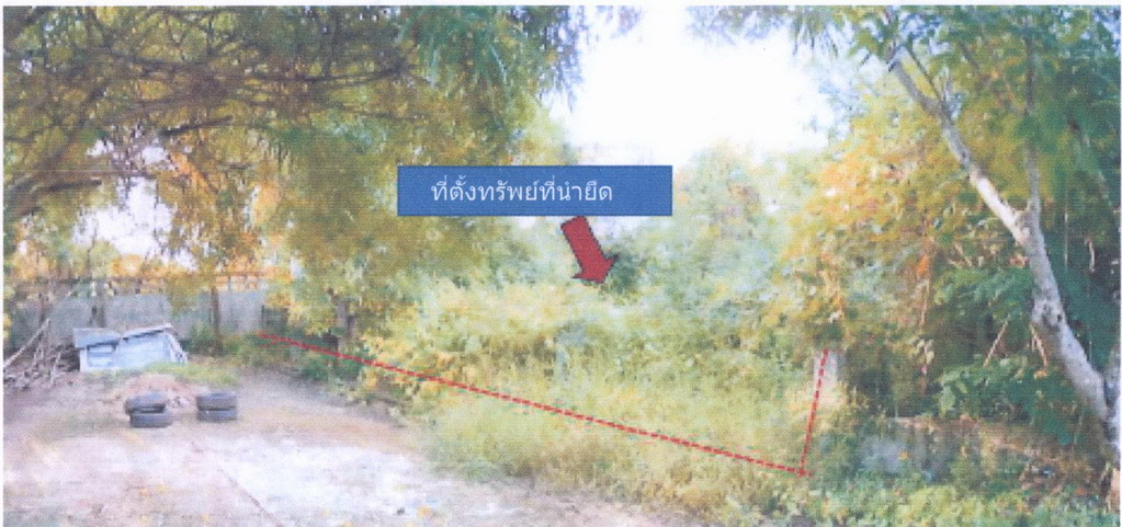 รูปที่ดินว่างเปล่า นางั่ว เมืองเพชรบูรณ์ เพชรบูรณ์