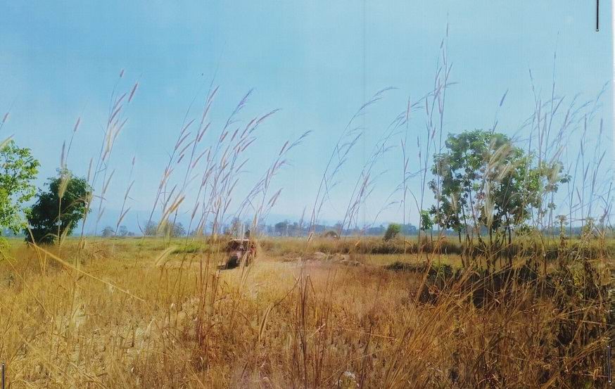รูปที่ดินว่างเปล่า บ้านปิน ดอกคำใต้ พะเยา