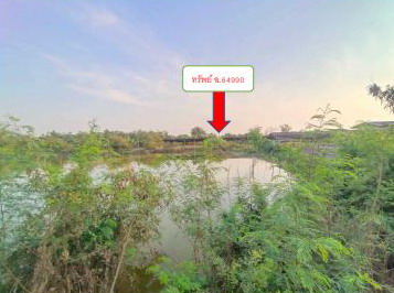 รูปที่ดินว่างเปล่า บางเลน บางเลน นครปฐม