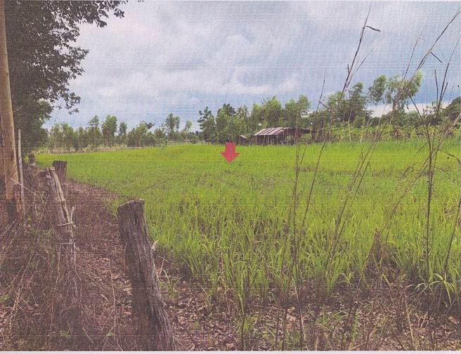 รูปที่ดินว่างเปล่า คำป่าหลาย เมืองมุกดาหาร มุกดาหาร