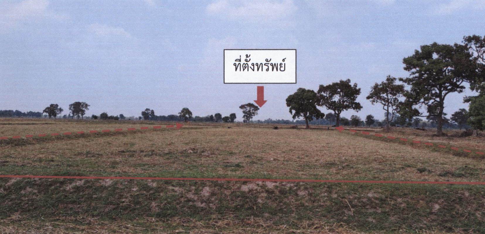 รูปที่ดินว่างเปล่า ไผ่ รัตนบุรี สุรินทร์