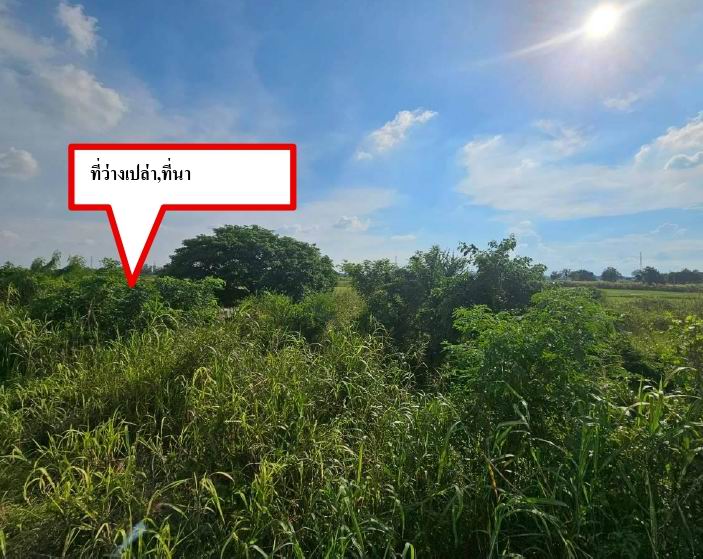 รูปที่ดินว่างเปล่า ต้นโพธิ์ เมืองสิงห์บุรี สิงห์บุรี