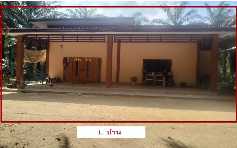 รูปที่ดินพร้อมสิ่งปลูกสร้าง ป่าเว ไชยา สุราษฎร์ธานี