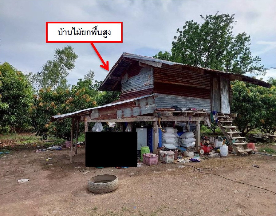 รูปที่ดินพร้อมสิ่งปลูกสร้าง หนองปลาไหล วังทรายพูน พิจิตร