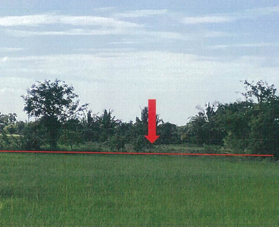 รูปที่ดินว่างเปล่า ทางพระ โพธิ์ทอง อ่างทอง