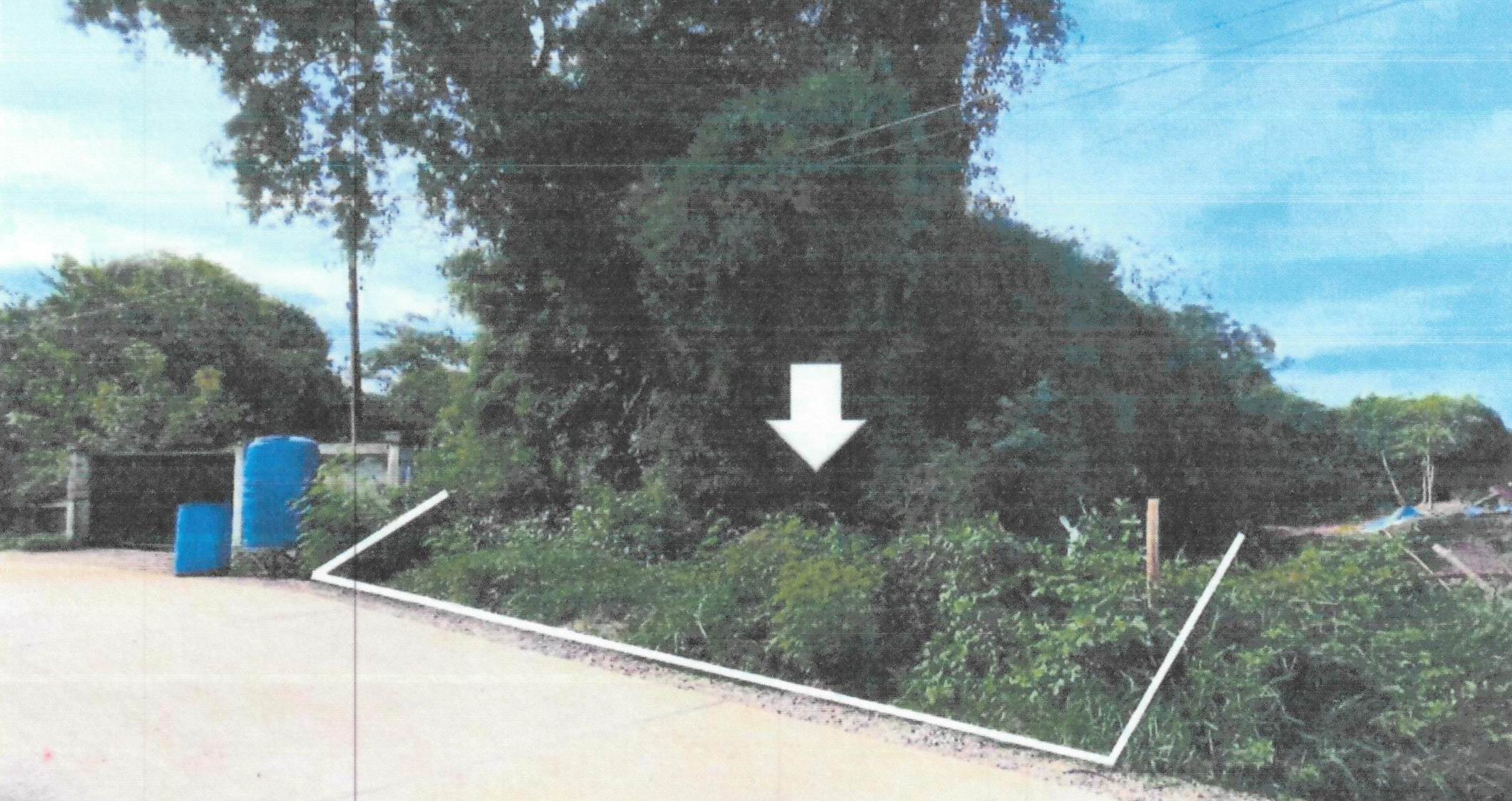 รูปที่ดินว่างเปล่า บ่อแร่ วัดสิงห์ ชัยนาท