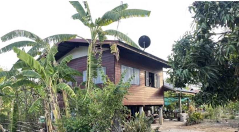 รูปที่ดินพร้อมสิ่งปลูกสร้าง หนองบัว เมืองหนองบัวลำภู หนองบัวลำภู