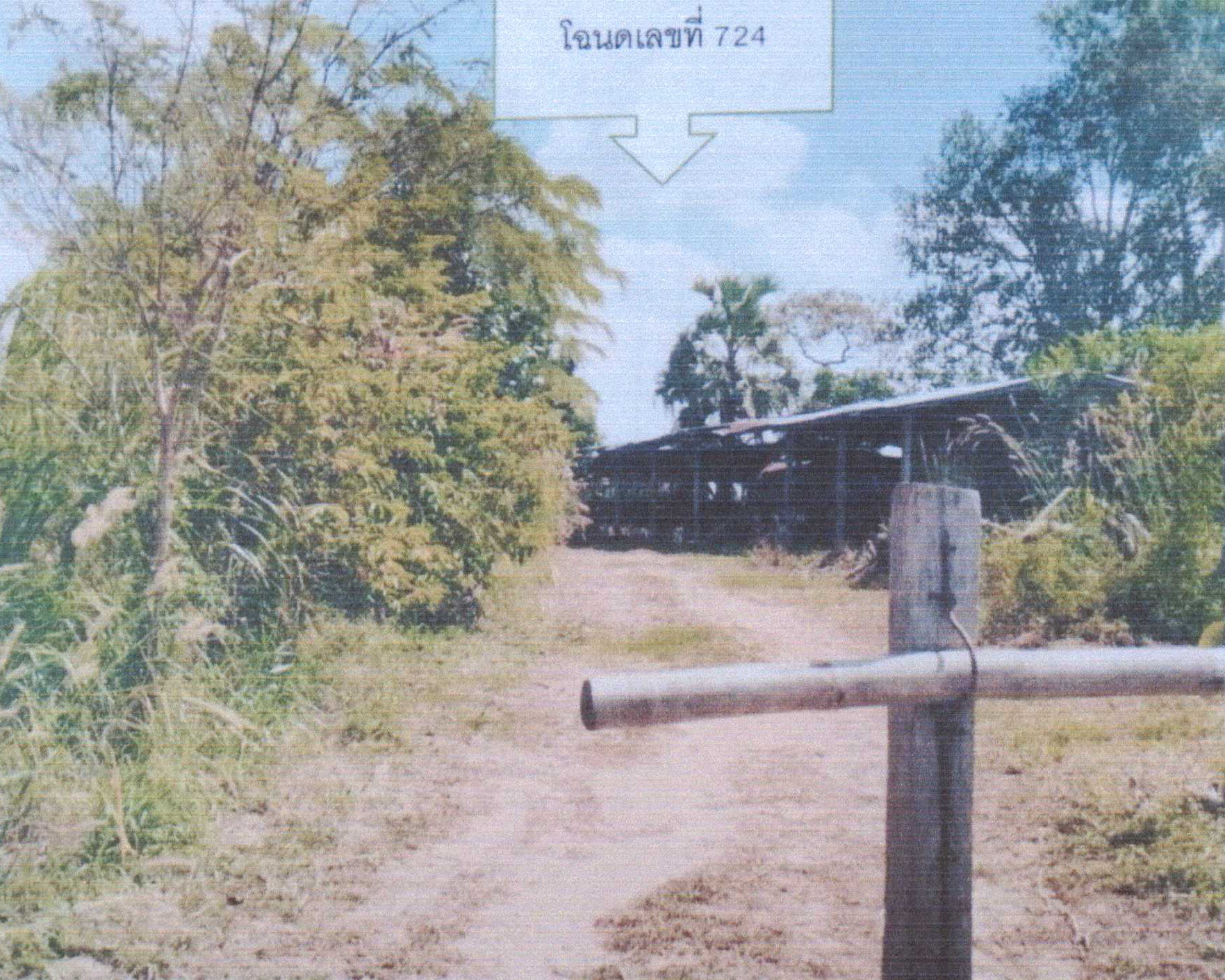 รูปที่ดินพร้อมสิ่งปลูกสร้าง กุง ศิลาลาด ศรีสะเกษ