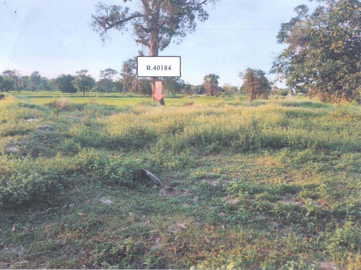 รูปที่ดินว่างเปล่า หนองช้างใหญ่ ม่วงสามสิบ อุบลราชธานี