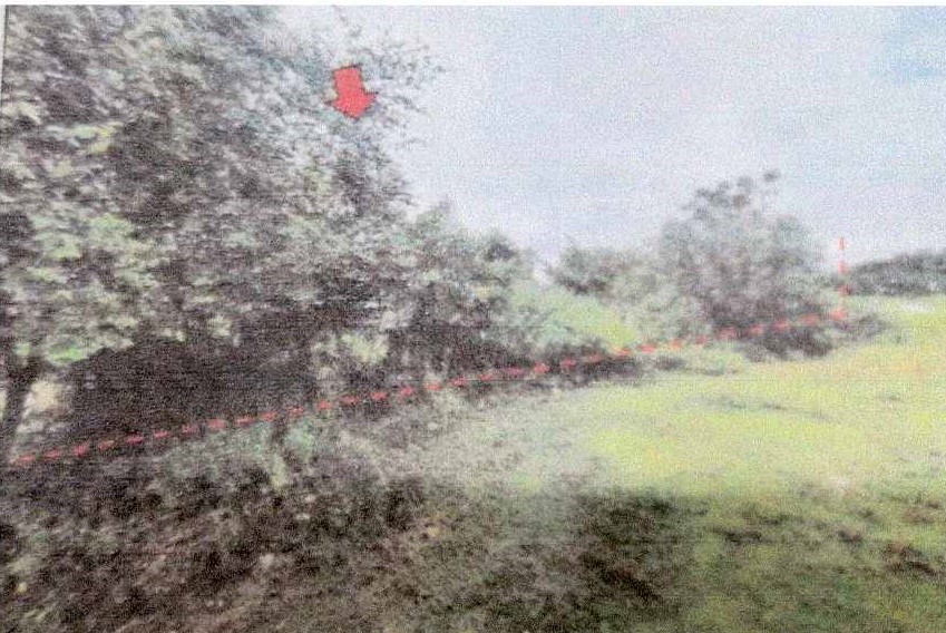 รูปที่ดินว่างเปล่า โพธิ์ชัย เมืองหนองคาย หนองคาย