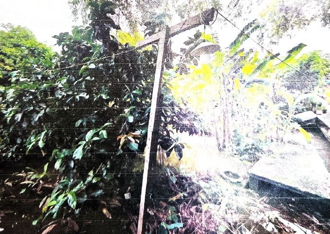รูปที่ดินว่างเปล่า บางตะไนย์ ปากเกร็ด นนทบุรี