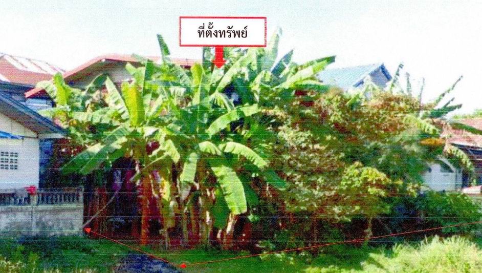 รูปที่ดินพร้อมสิ่งปลูกสร้าง บ้านถ่อน ท่าบ่อ หนองคาย