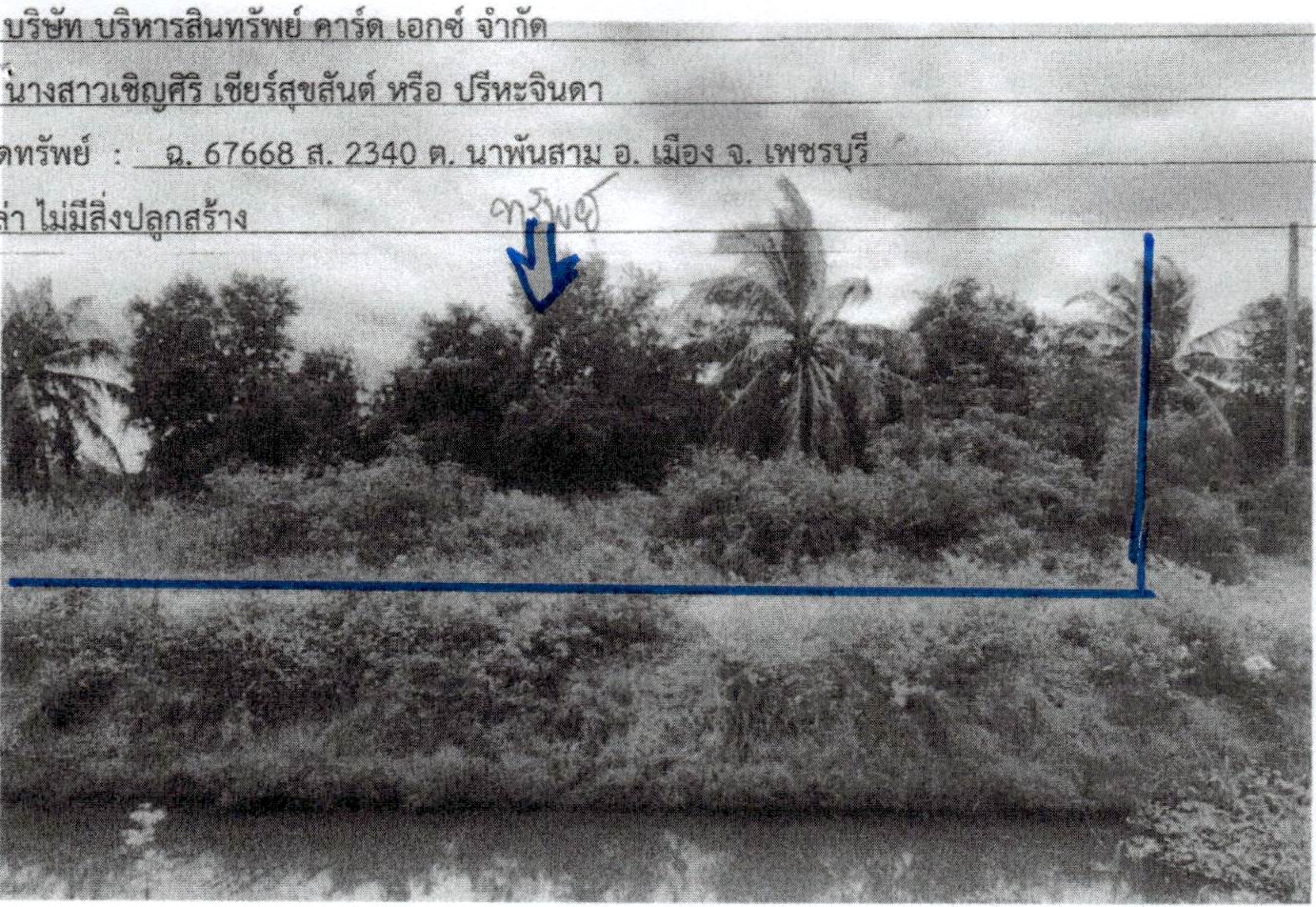 รูปที่ดินว่างเปล่า นาพันสาม เมืองเพชรบุรี เพชรบุรี
