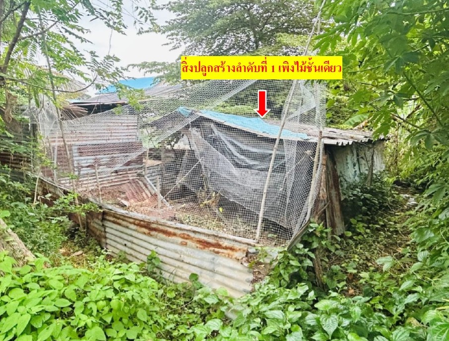 รูปที่ดินว่างเปล่า จันดุม ประโคนชัย บุรีรัมย์