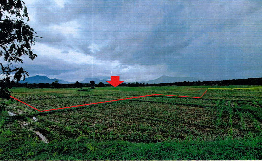 รูปที่ดินว่างเปล่า นาสัก แม่เมาะ ลำปาง