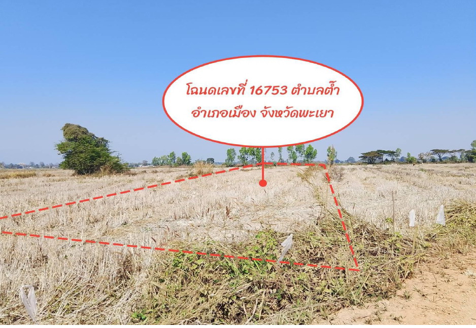 รูปที่ดินว่างเปล่า บ้านต๊ำ เมืองพะเยา พะเยา