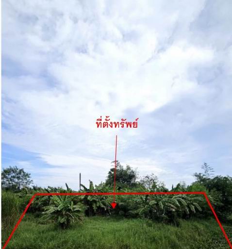 รูปที่ดินว่างเปล่า เขาพระบาท เชียรใหญ่ นครศรีธรรมราช