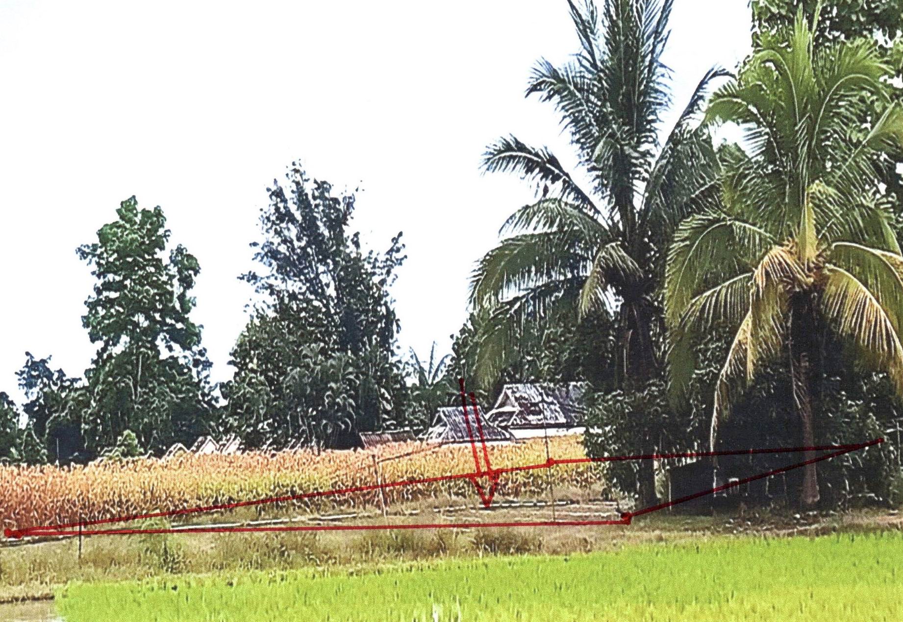 รูปที่ดินว่างเปล่า แม่คำ แม่จัน เชียงราย