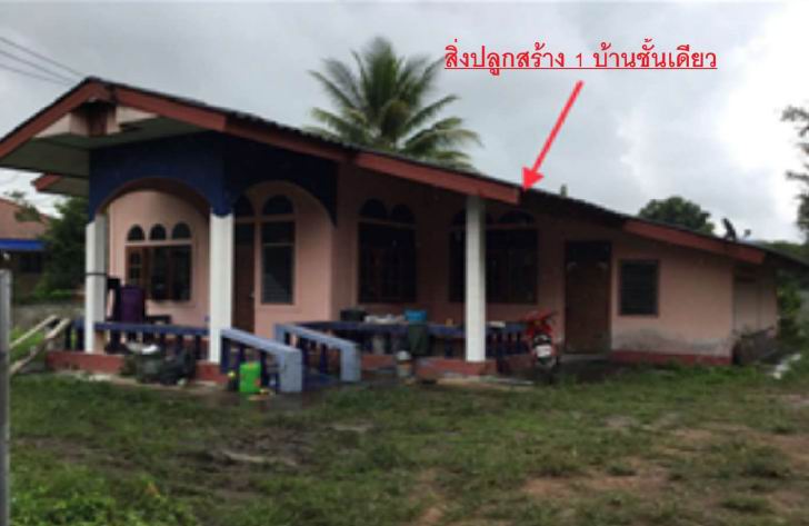 รูปที่ดินพร้อมสิ่งปลูกสร้าง โรงช้าง ป่าแดด เชียงราย