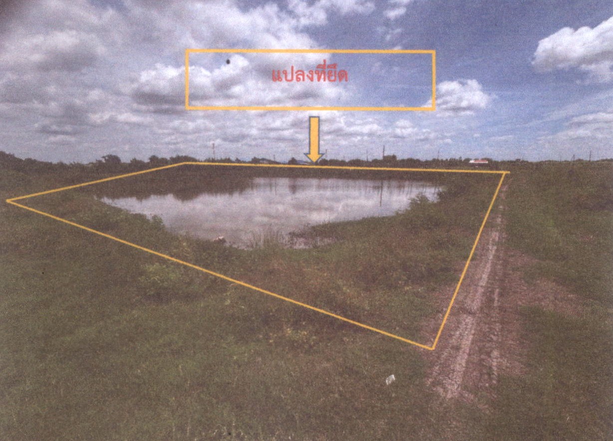 รูปที่ดินว่างเปล่า บางแขม เมืองนครปฐม นครปฐม