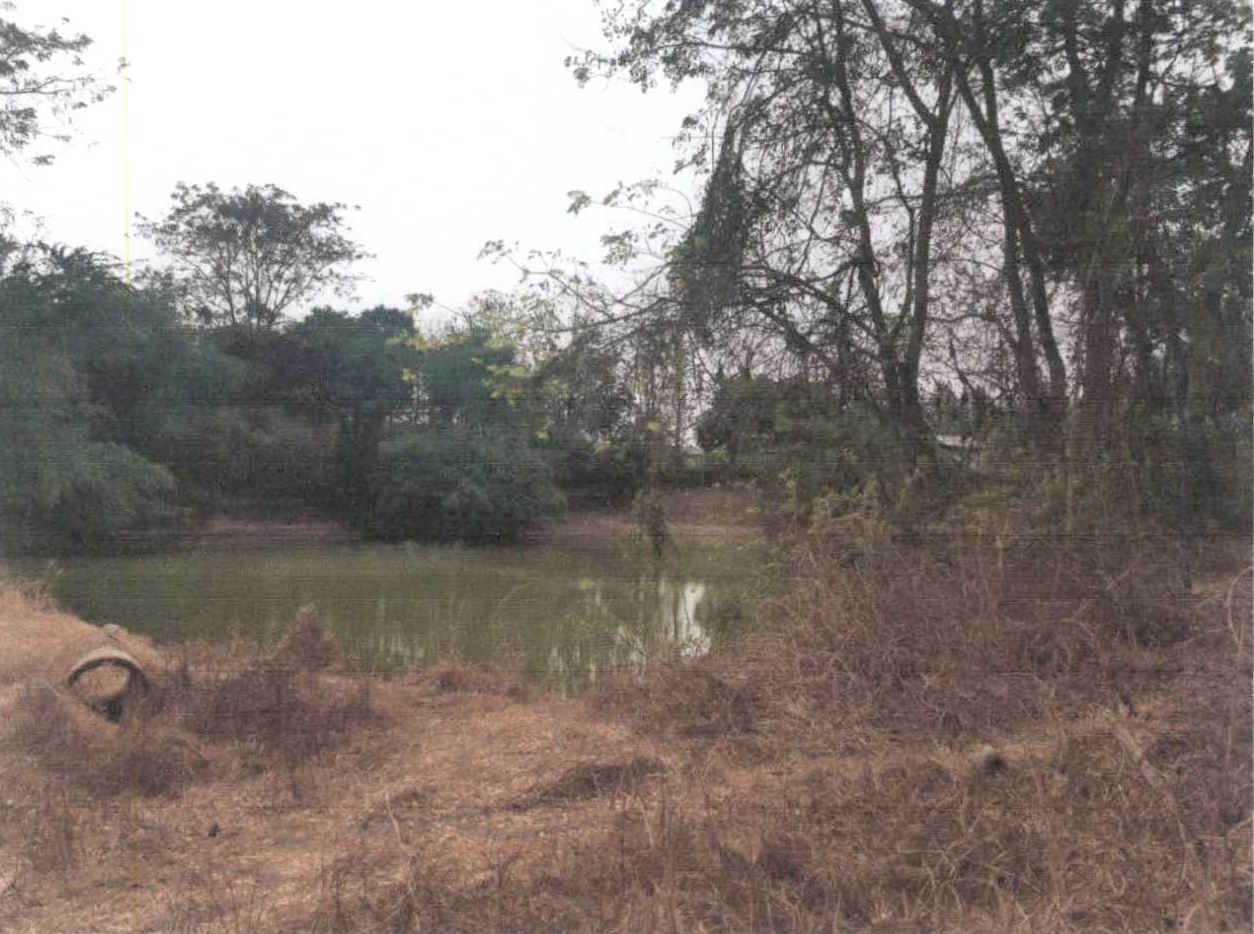 รูปที่ดินว่างเปล่า หนองสาหร่าย ดอนเจดีย์ สุพรรณบุรี