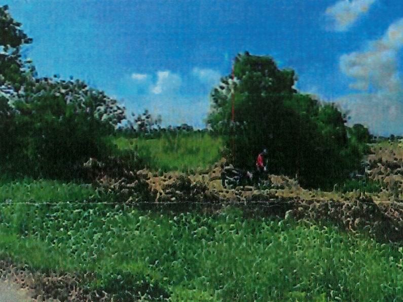 รูปที่ดินว่างเปล่า บ้านแหวน หางดง เชียงใหม่