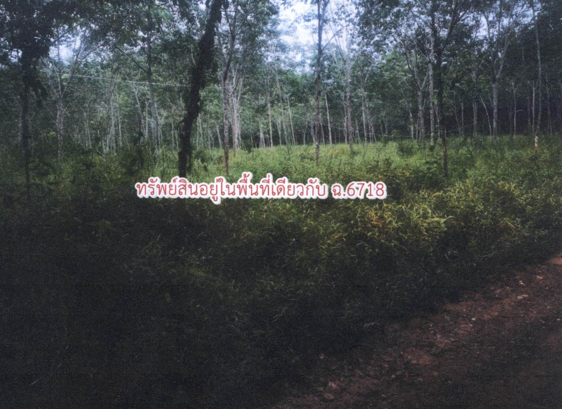 รูปที่ดินว่างเปล่า วังใหญ่ เทพา สงขลา