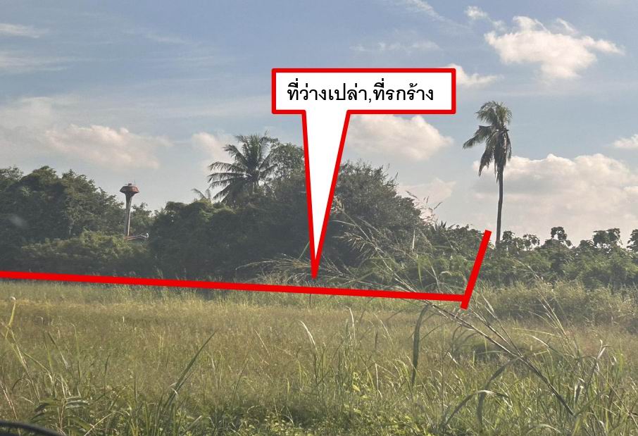 รูปที่ดินว่างเปล่า บางมัญ เมืองสิงห์บุรี สิงห์บุรี