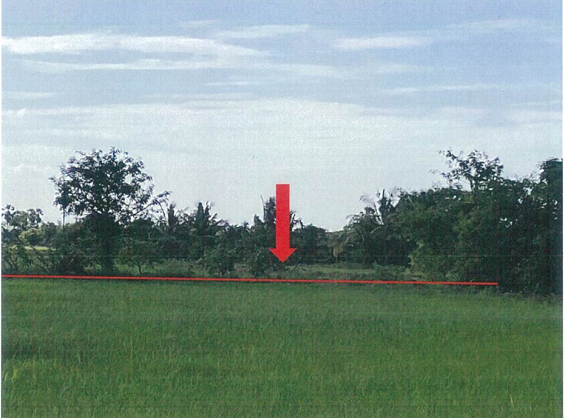 รูปที่ดินว่างเปล่า ทางพระ โพธิ์ทอง อ่างทอง