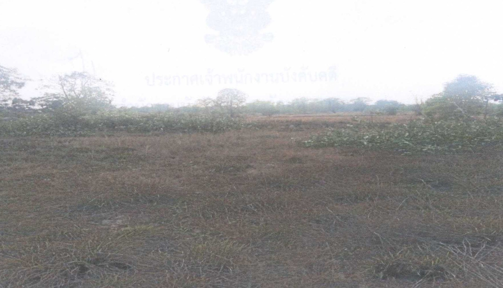 รูปที่ดินว่างเปล่า ลานสะแก พยัคฆภูมิพิสัย มหาสารคาม