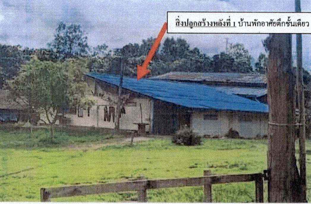 รูปที่ดินพร้อมสิ่งปลูกสร้าง หนองหล่ม ห้างฉัตร ลำปาง