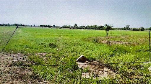 รูปที่ดินว่างเปล่า นาดี ยางตลาด กาฬสินธุ์