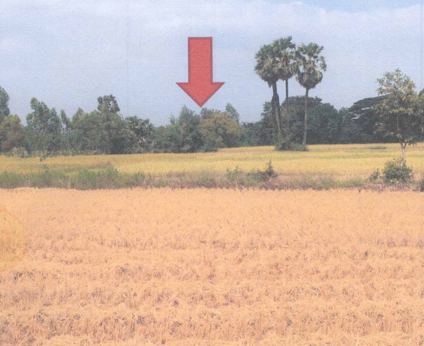 รูปที่ดินว่างเปล่า เจียด เขมราฐ อุบลราชธานี
